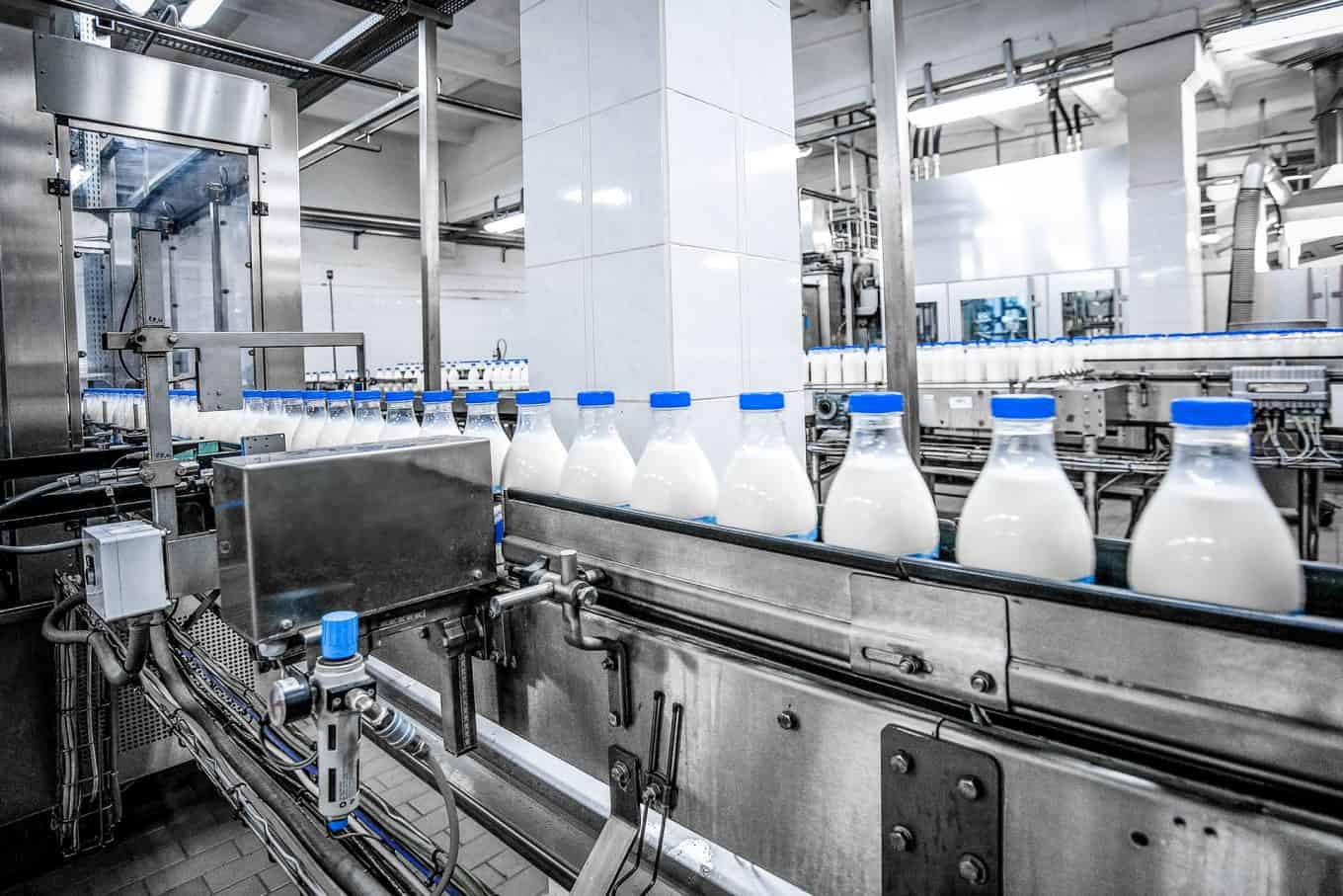 Ozone treatment in dairy industry